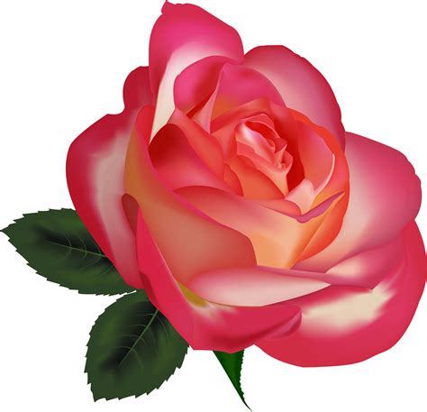 roses clip art|rose clip art realistic free.